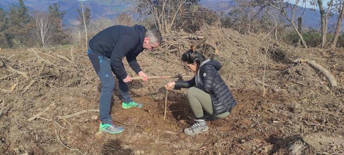 Zuhaitz Eguna ospatzen ari d 21 1644670099759