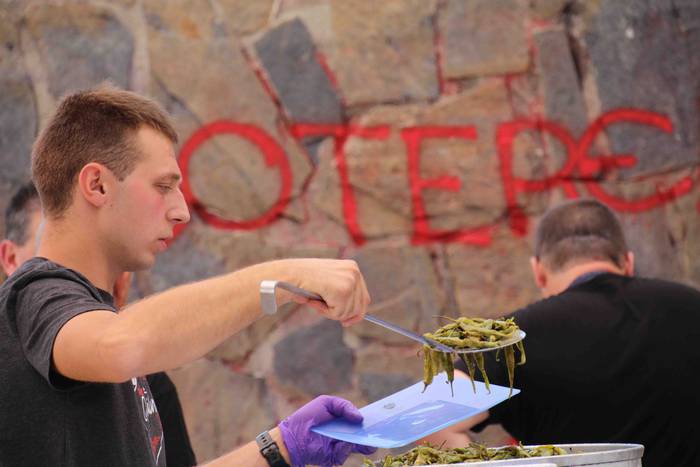 70 kilo piper, erromesaldi g 5 1566651738082