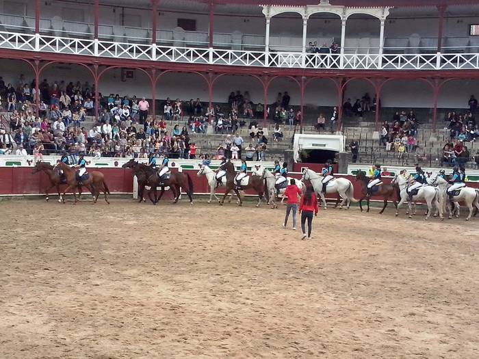 Zaldi erakustaldia Tolosa zezen plaza 7 1466419138433