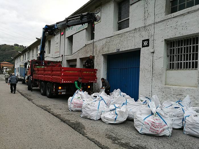 TOLOSATIK BELGRADORA 2017 AZ 5 1510778668204