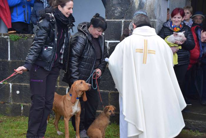 Animaliek jaso dute San Anto 15 1547722518440