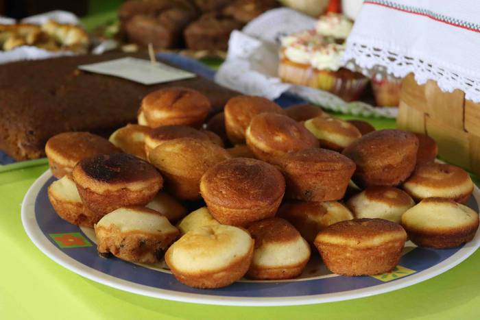 Azoka berreskuratu dute Zizu 3 1633863548344