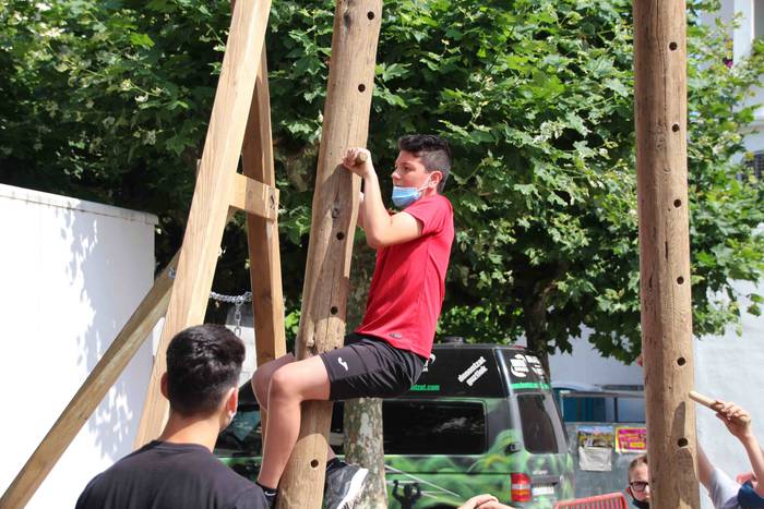 Trebezia erakutsiz 22 1626520737226