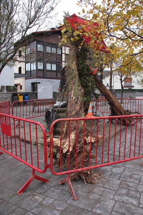 Amasarrak gaztetzen dituen eguna - 46