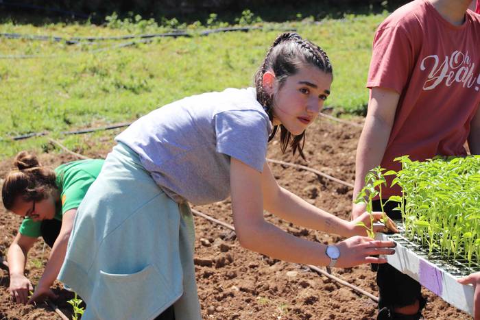 Erein dituzte lehen piperrak 16 1559303467550