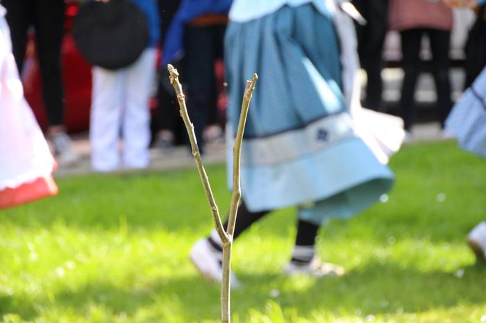 intxaurrondoa landatu villab 37 1647095077644