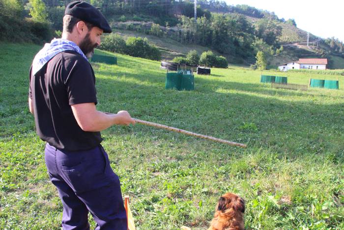 Artzaina eta txakurraren artea Amezketan 3 1472322271639