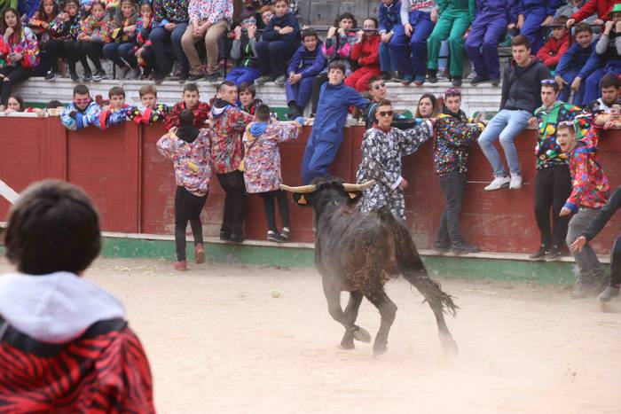 Lehenengo zezen festa, prime 18 1551374964514