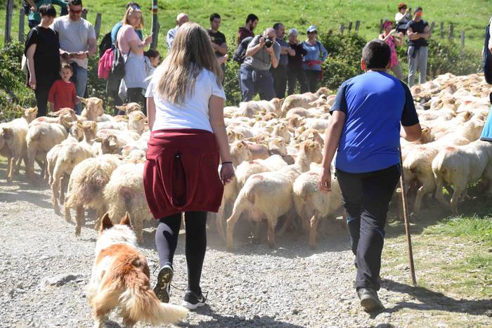 Larrerati dituzte abereak Ar 61 1556716334051