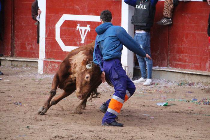 Tolosako Inauteriak 2022 Ast 30 1646130171744