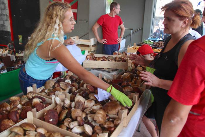 Zizurkil herrigunea Azoka Be 7 1570974676119