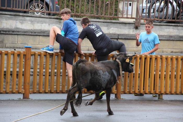 hernialde festak puzgarriak  36 1534160481367