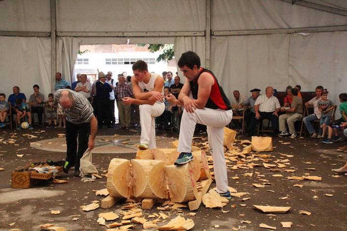 Asteasuko Festak 2016-Erretirodunen Eguna 26 1467297865965