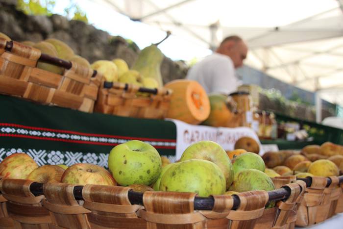 XIX. azoka berezia Zizurkilen 4 1476016330332