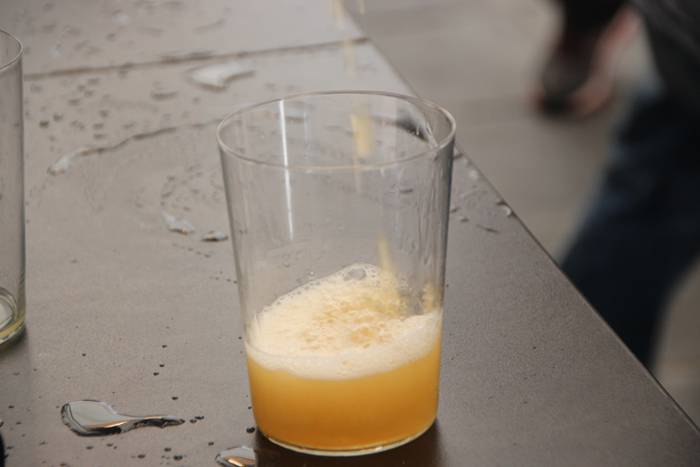 Sagardo Fest giroa eta kata 4 1497103725029