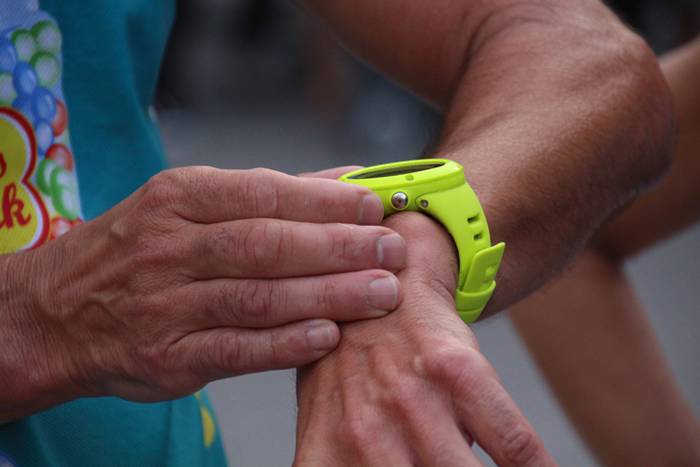 Lasterka hasi dituzte Elbarr 36 1504692178542