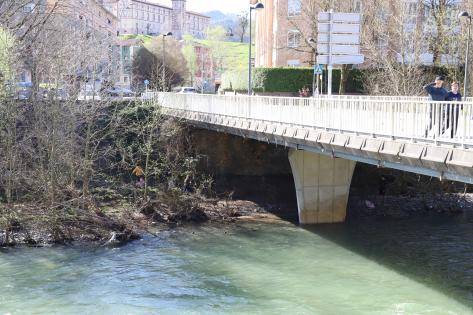 Oria eta Araxes ibaietako zubien begietan zuhaitzak kenduko dituzte