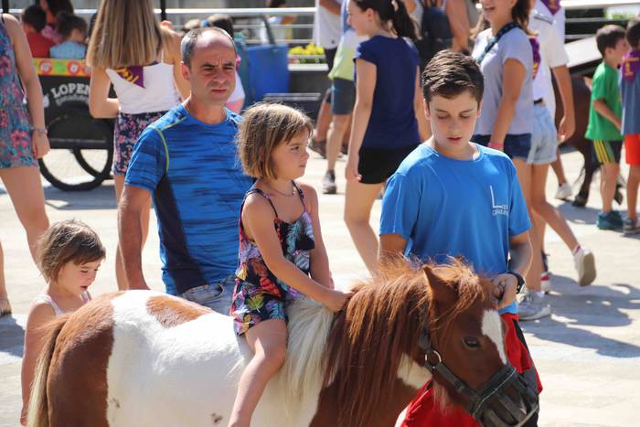 Festak hasteko, poniak eta z 38 1566993993755