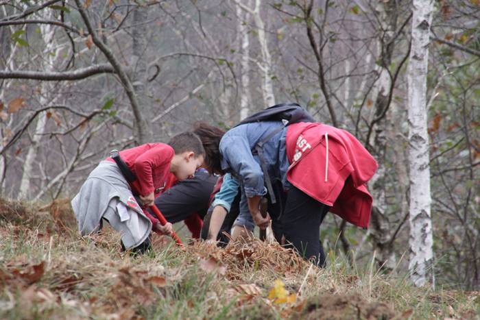 Eskola txikiak eta ner group 43 1447508277427