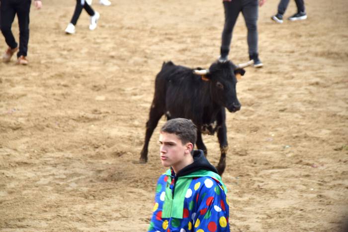 xexenak ostiral mehea 48 1645807736912