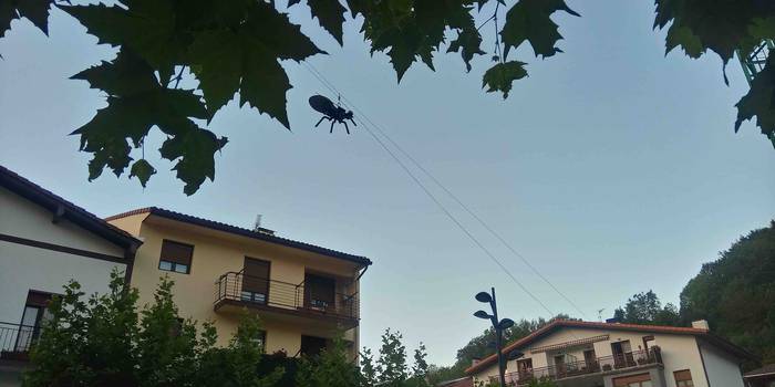 Euliaren jaitsierarekin abia 1 1661342377165