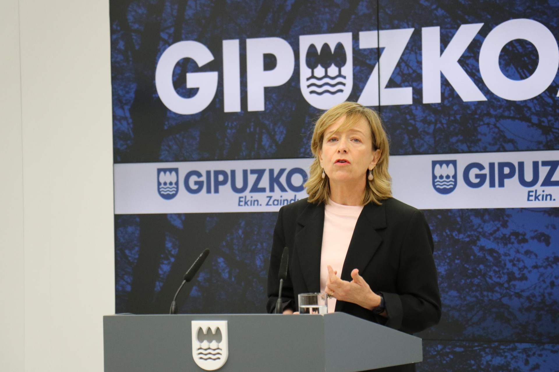 Albiste ona  datorrena Gipuzkoako Foru Aldunditik amasa-villabonatarrontzat