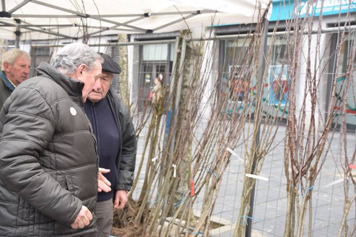 Zuhaitz Azoka, Tolosa, 2017 14 1486819644591