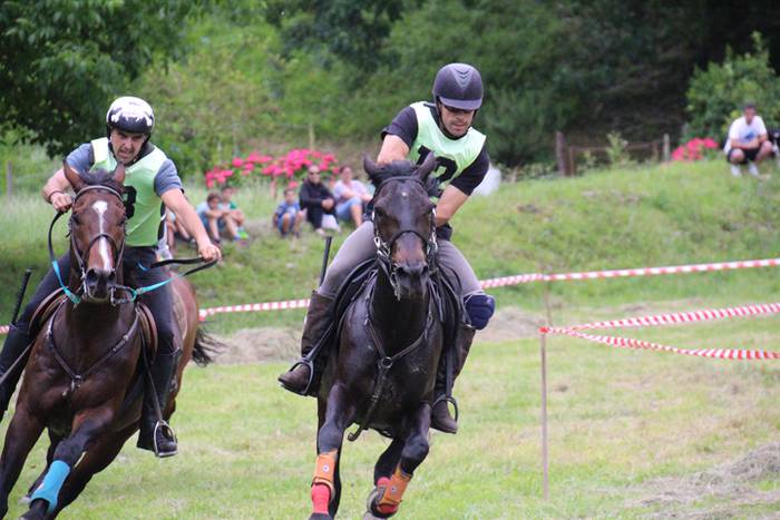 Zaldien gainean lehian 48 1497207393548