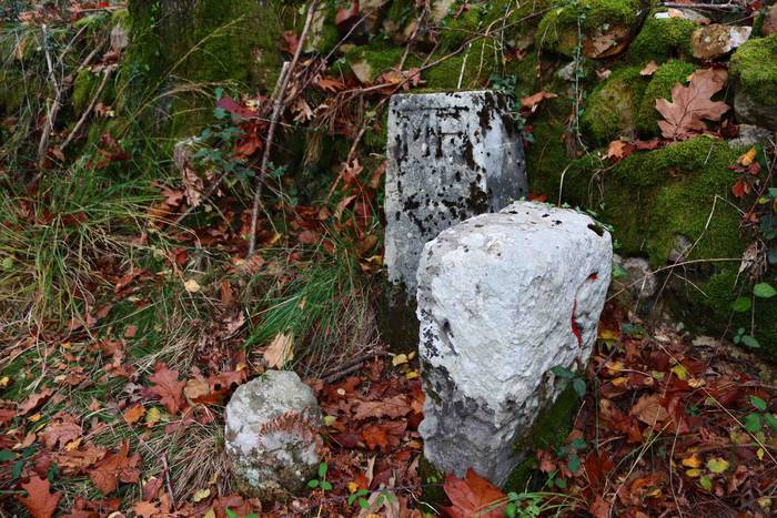 Adunako kultur egitaraua 202 38 1637571737930