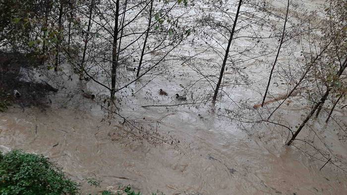 Urak eta lurrak gain hartu d 9 1639129519855