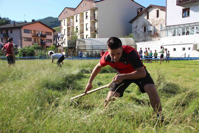 Asteasuko lagunarteko herri  71 1656445501450