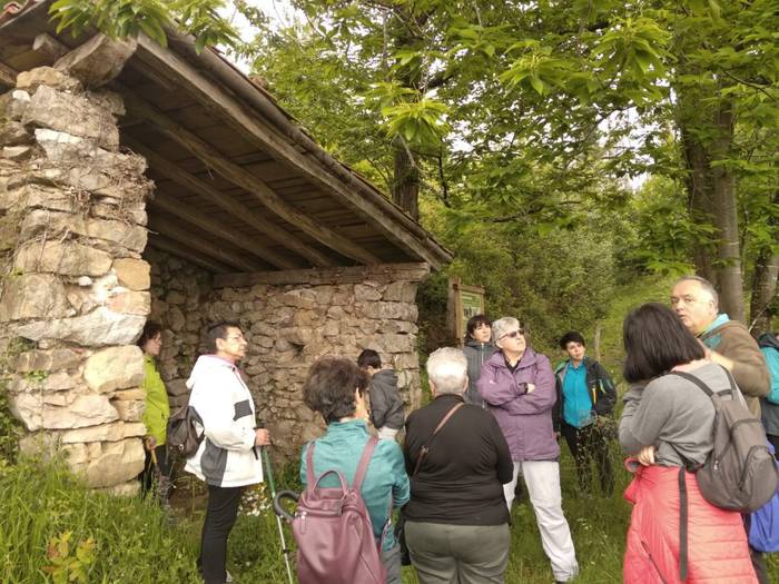 Mintzalagunak Irizibarrera 4 1559058490948