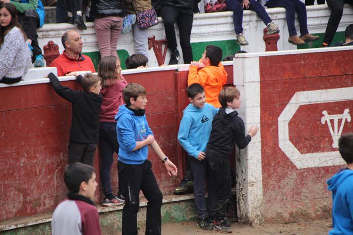 Txaranga eta zezenak piñata  35 1488738931055