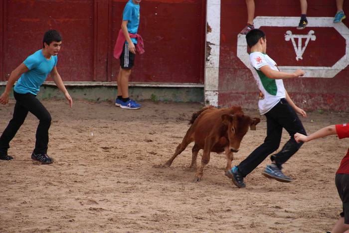 Zezen plaza hartu dute umeek 4 1539360453001