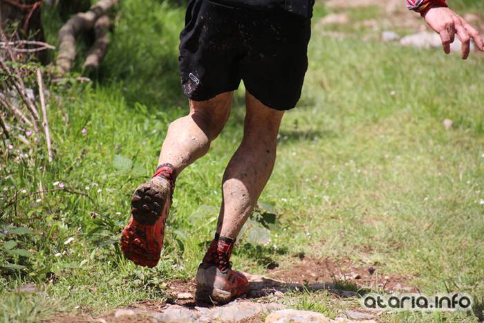 T3T tontor 2016 erroizpe 181 1466351344425