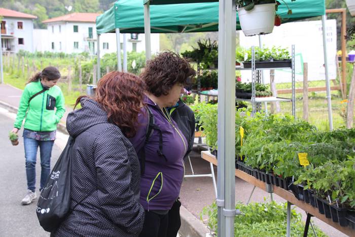 Alegako azoka ekologikoa 21 1462113313152