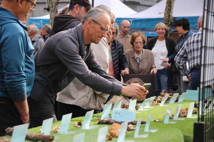 5.000 kilo txanpinoi saltsan 4 1571486530298