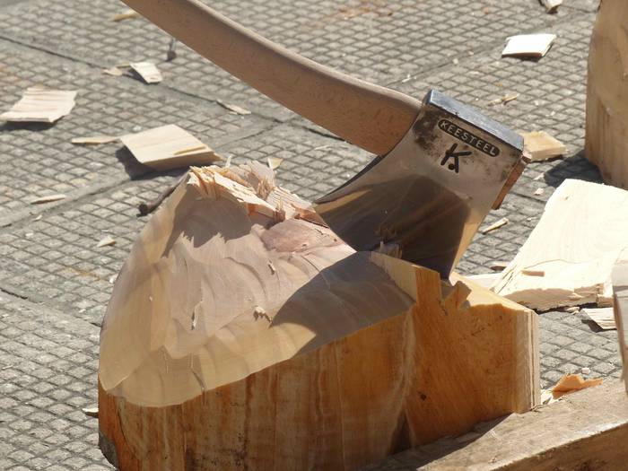 Kultura edo kirola, guztiak  130 1535470341650