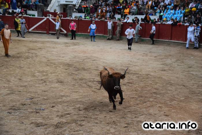 Pattar zezena 2016 11 1455012384801