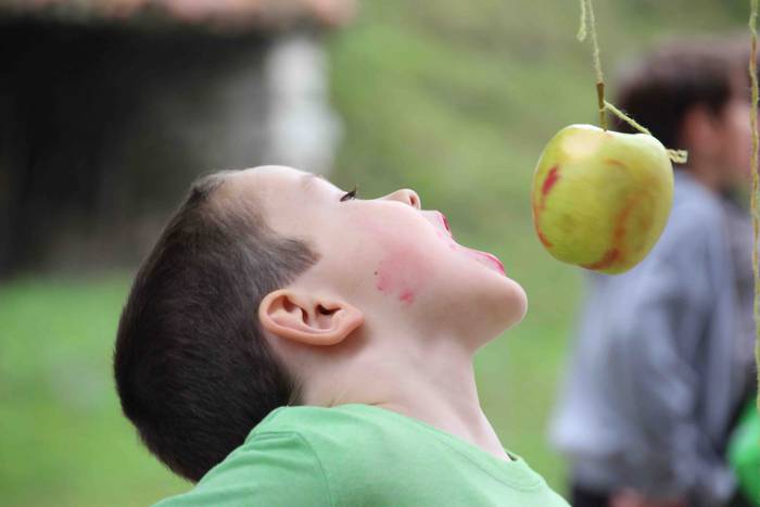 Azku Eguna Ibarra 2018 37 1540039851213