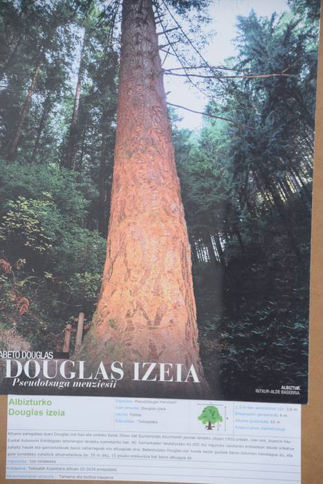 Zuhaitz Azoka, Tolosa, 2017 30 1486819733816