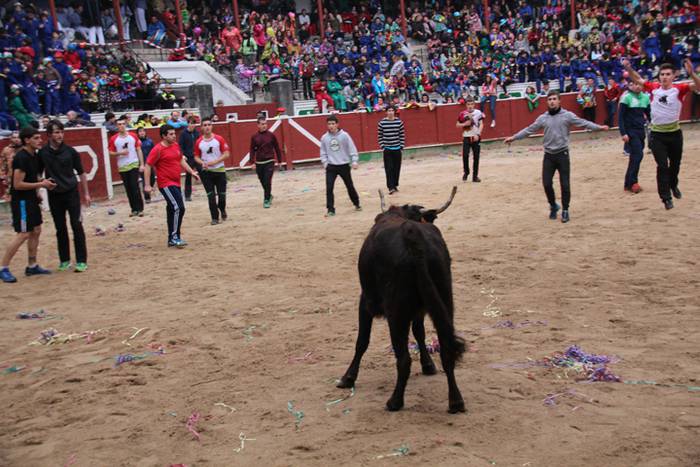 Ikuskizun polita, lehen zeze 15 1487873533612