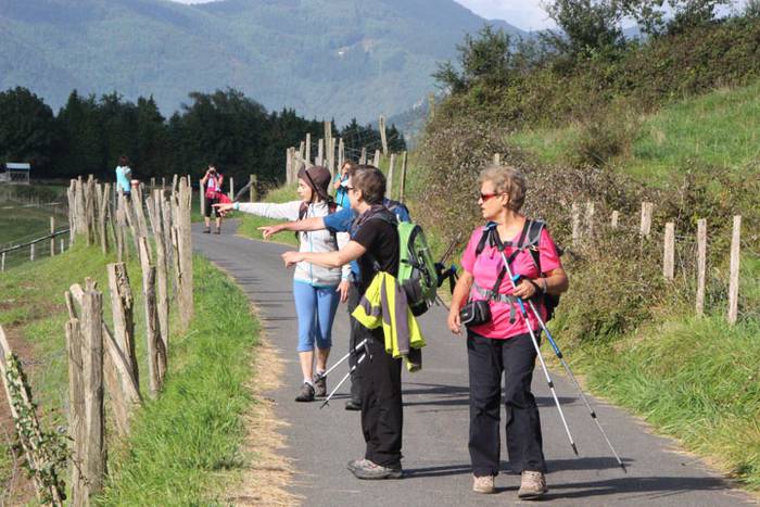 2016 bidea 34 1471775991399