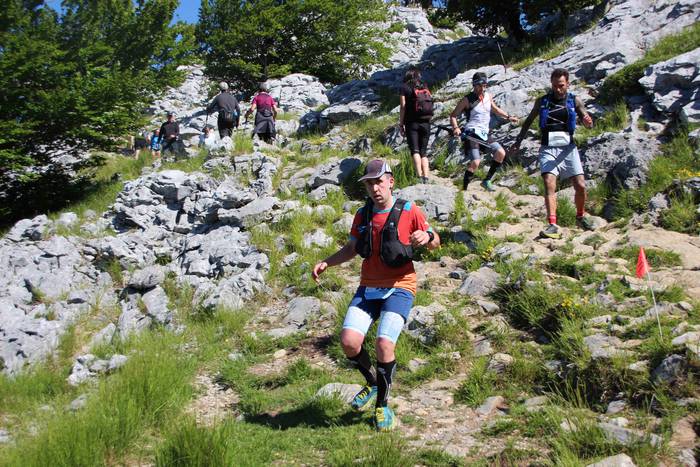 T3T, Hernio 2019 86 1560688449005