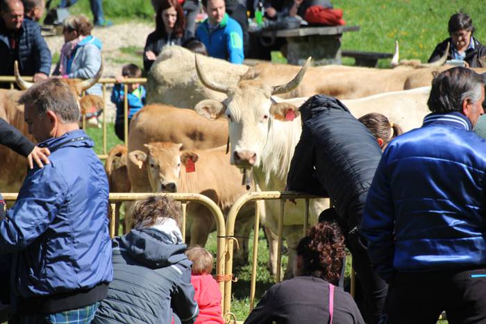 Larre irekiera Larraitzen 20 45 1493639931524