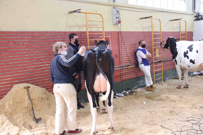 XII. Euskal Herriko Frisoi T 16 1637418669844