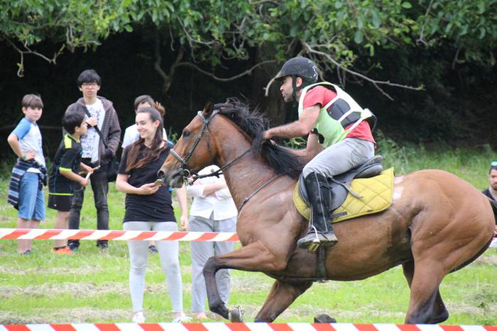 Zaldien gainean lehian 15 1497207188073