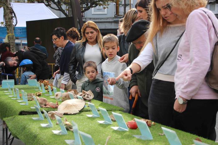 5.000 kilo txanpinoi saltsan 3 1571486529725