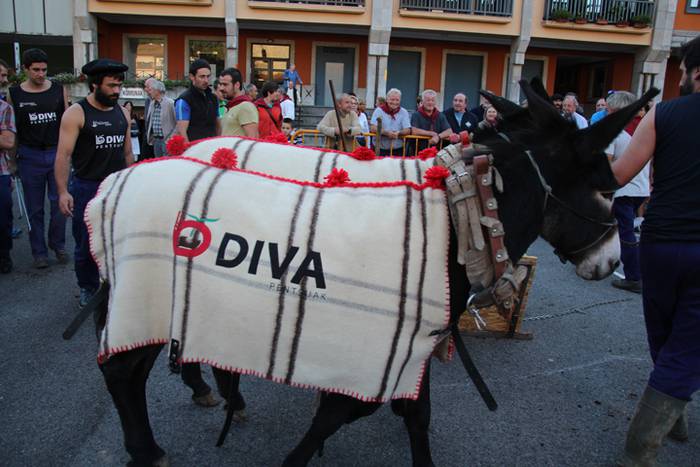 Gazteak nagusi, ximaurra gar 13 1507490447176