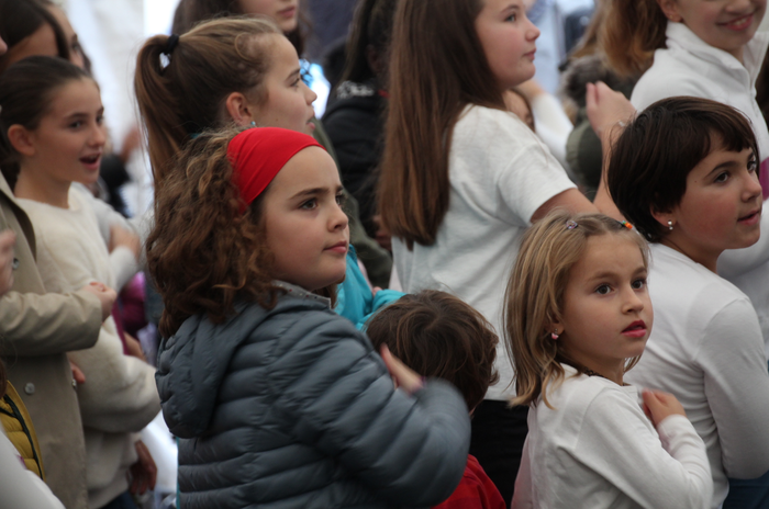 Dira ez, dituzte 5 1511616201513